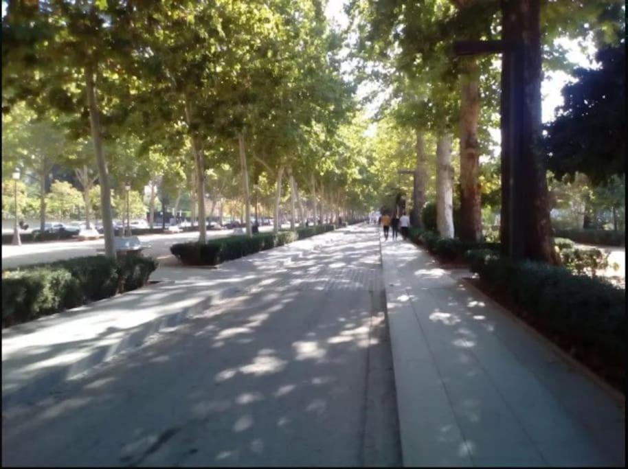 Hogar Del Lirio Apartamento Granada Exterior foto